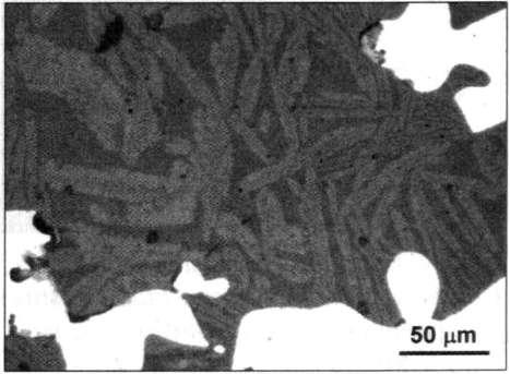 18 mikrostruktūra. Kalimo metu deformuoti šlako intarpai (tamsiai pilki) geležyje. Ėsdinta 3% HN0 3 tirpalu etanolyje. Nuotrauka A. Selskienės.