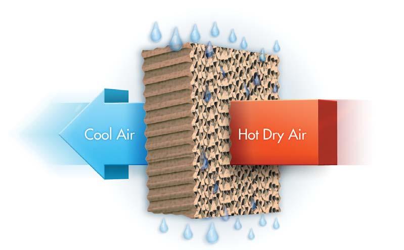 How Does an Evaporative Cooler Work? Cool and Comfortable... Indoors or Outdoors Cool Efficient Natural Evaporative cooling is the natural way of cooling, similar to a breeze flowing across a lake.