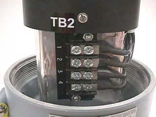 WIRE COLOR TB1-1 24 Volt (-) WHITE TB1-2 24 Volt (+) BLACK TB1-3 4-20 ma (+) VIOLET TB1-4 4-20 ma (-)