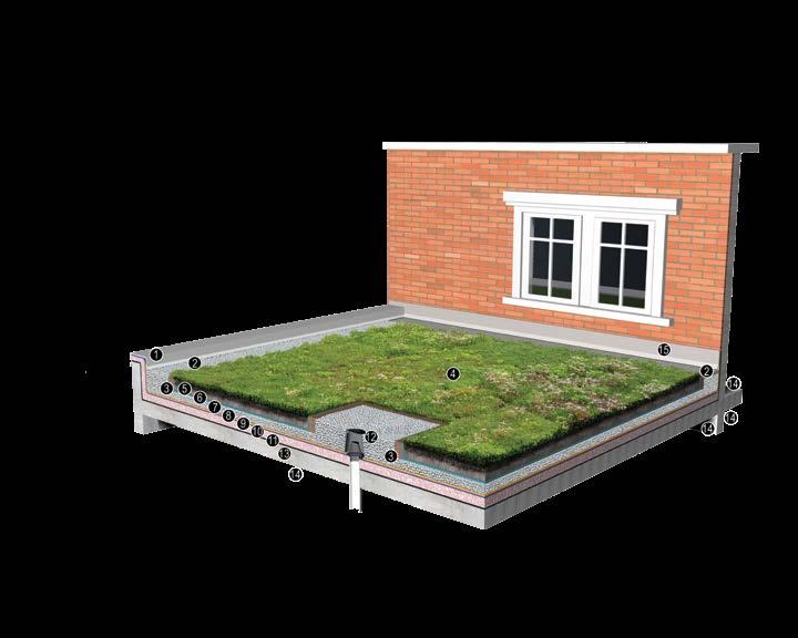 Extensive Green Roof 1. Wall Cap Flashing, waterproof membrane extends to 100mm above finished grade 2. Drain Rock, Paving Slab, or Other Buffer Equivalent 3. Wood, Steel or Concrete Curb/Edging 4.