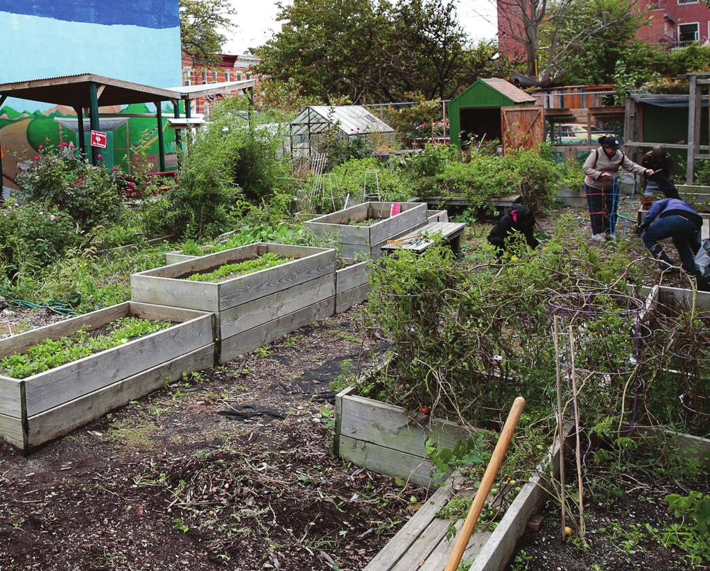 a dozen community gardens. Since its launch in 2013, CHLDC and residents have built four new gardens.