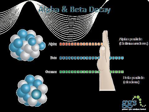 Either an alpha or a beta particle is released during radioactive decay of radon and its daughters.