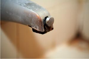 .. mold & mildew on shower curtains.