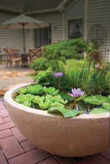 Treat Fountains Maintain Container FOUNTAIN MAINTENANCE Safely Eliminates Scale and Debris Build up from Water Features Aquascape Water Feature Maintenance will eliminate scale that will often