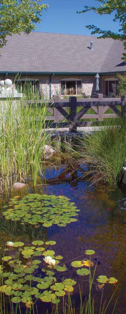 MICROPOND KIT Take the guesswork out of trying to assemble the perfect combination of equipment and liner to create a stunning water garden.