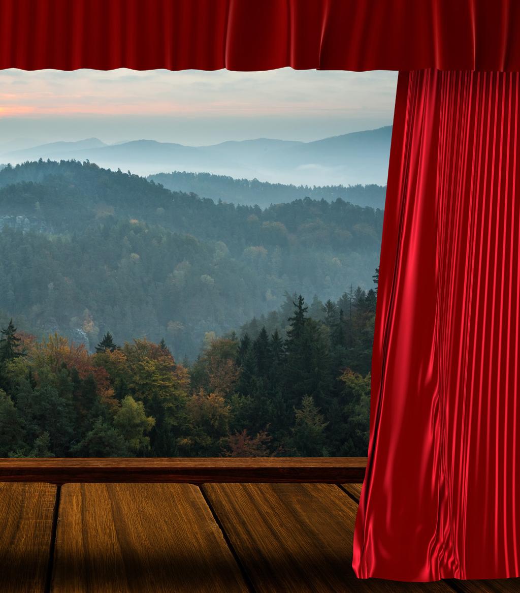 Types of Stage Curtains Scenic Backdrops A Scenic Backdrop hangs at the back of your stage to add to the magic of your performance.