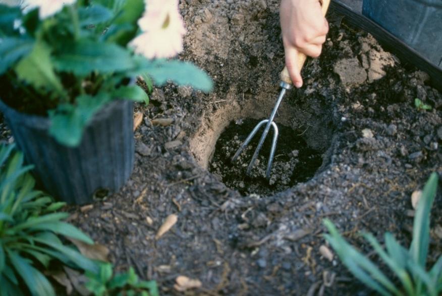 Mix Into Planting Hole Compost is great for mixing into the soil when you are planting a new plant