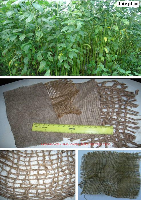 NATURAL GEOTEXTILE