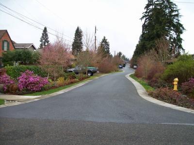 Some of these features, such as rain gardens, may only be seen on a select number of streets due to various conditions and constraints, including soils, topography, and existing infrastructure.