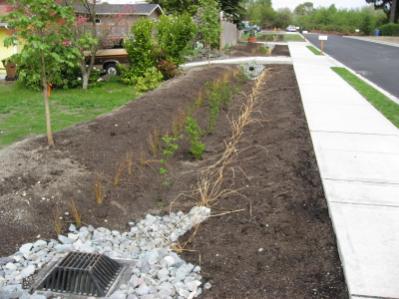 Pedestrian access from the street to sidewalk should be considered in the design phase of all rain garden facilities.