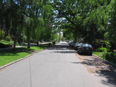 Street trees provide multiple benefits including stormwater interception and uptake, reducing the heat island effect, habitat, and enhancing the walking environment.