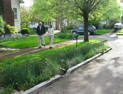2.4.2. Standard Residential Street Typology with Green Stormwater Features This typology is intended to provide design guidance for both new streets and streets that are being reconstructed or