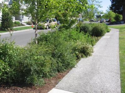 dimension, where other site specific conditions or drive clearance outweighs conditions dictate, or where there is a goal parking demand to further reduce impervious surfaces.