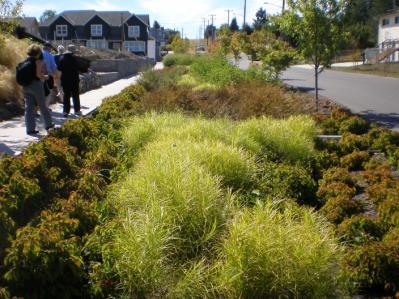 Rain garden landscaping can enhance neighborhood aesthetics while providing water quality benefits. 2.4.3.