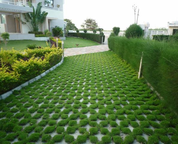 3.Soft paving Turfgrass soft paving Colourful Relatively low