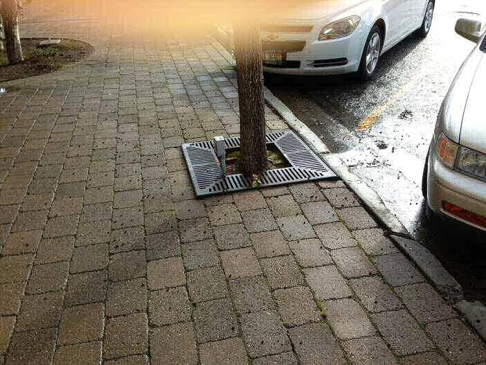 15 5 th Street West building tree grate 2-ft x