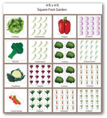 Small Yards and Urban Gardens Beds typically 3 x3 or 4 x4