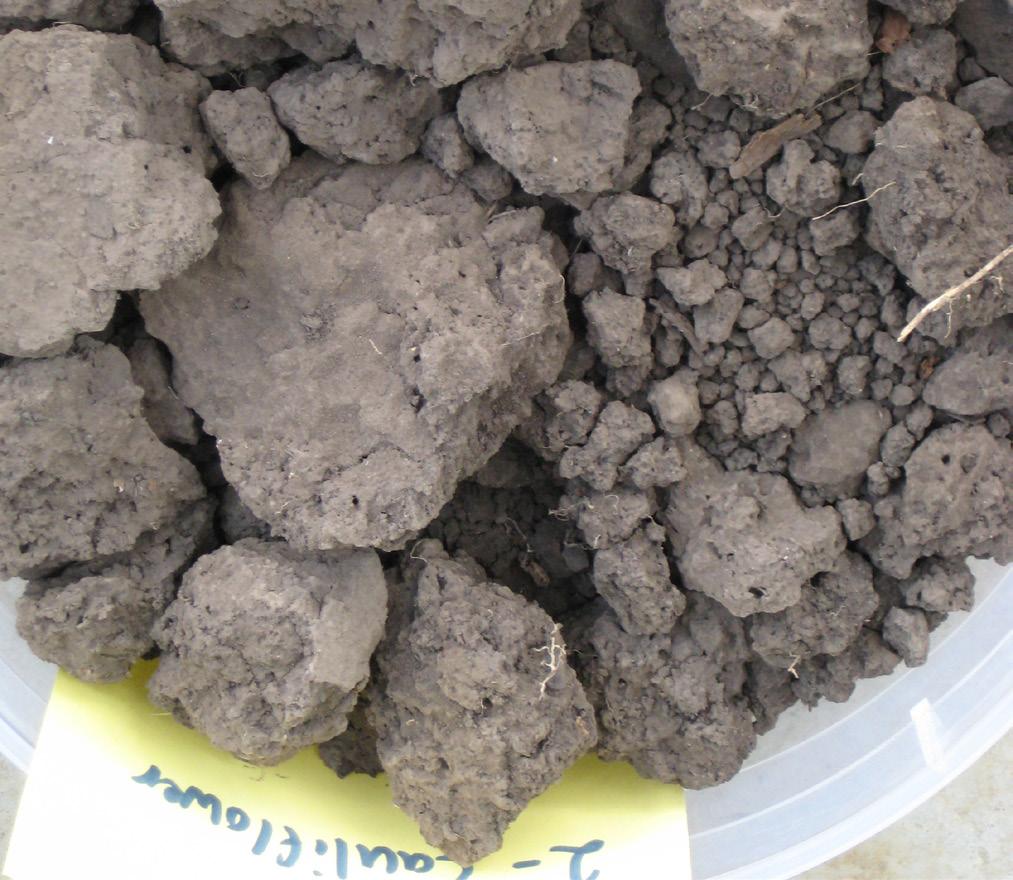 (DPI, Victoria) Acidity can be managed through the application of lime. Measuring Soil ph Photo: S.