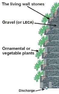 Cultivated peat soil(20 cm) 3. Aluminum ( 5mm) 4.Airgap(20 cm) 5. Concrete (17 cm) Figure 6.Second type of living wall system 3.