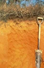 Soil Color Soil Characteristics:
