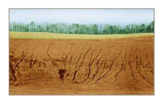 Soil Erosion Resources NRCS publications (http://soils.usda.