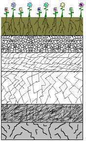 Soil Characteristics Soil Horizons Depth of soil Color of soil Texture Size and shape of aggregates Rock fragments Soil reaction Landscape position Slope Soil Characteristics: Soil