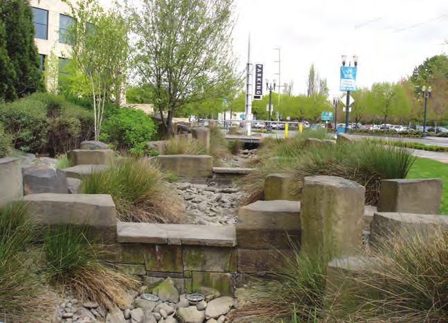 Bioswales Swales are trapezoidal or parabolic drainage paths or vegetated channels designed to attenuate, convey and in some cases infiltrate stormwater runoff away from impervious surfaces.