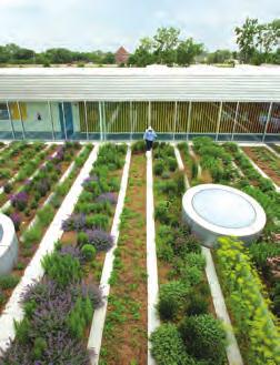 Vegetated Roofs Green roofs and living roofs are alternative roof surfaces that replace conventional construction materials with a planting media and vegetation.