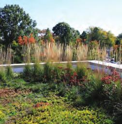 Green roofs reduce heat island effect, decrease the buildings demand for heating and cooling, and provide additional habitat and valuable open space in the urban
