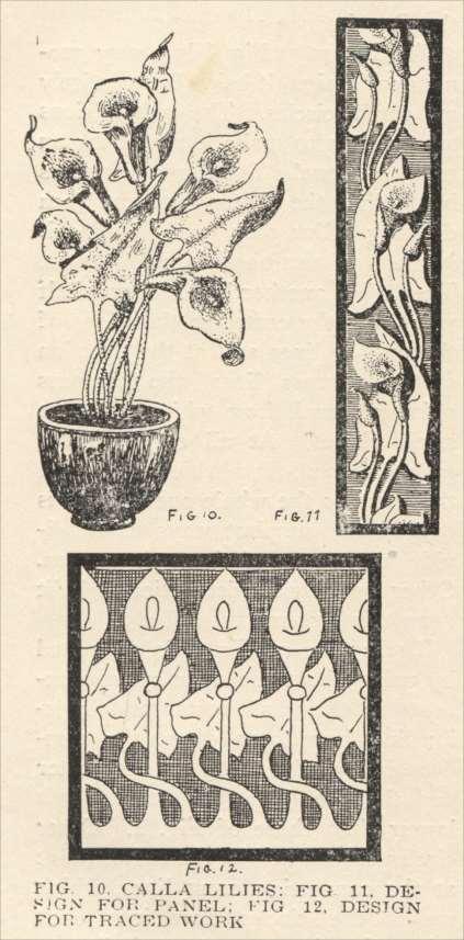 Fig. 10. Calla lillies; Fig. 11.
