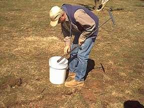 Now what? I have a pail of soil. Then take about a 1-cup sample out of your pail and send it to a soil testing lab.