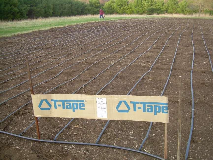 Drip irrigation was added