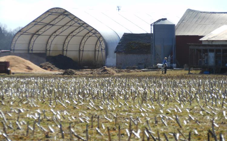 As with the rest of New England, agricultural operations particularly those on residentially zoned land face tremendous market pressure to abandon farm operations and develop the land.