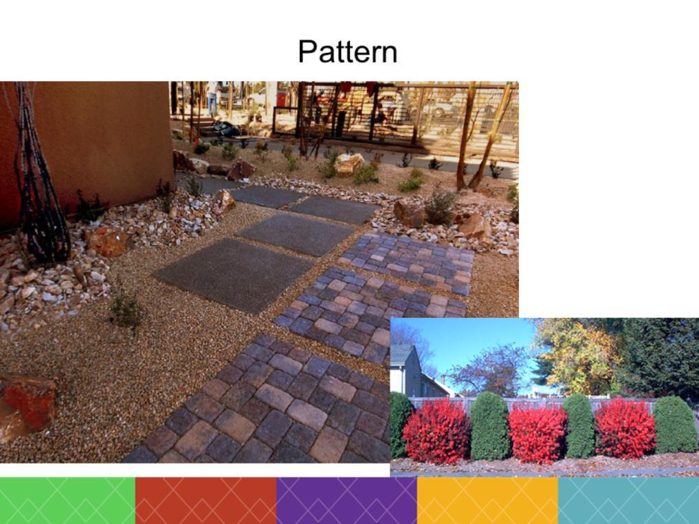 Patterns can be series of plants that repeat or series of any