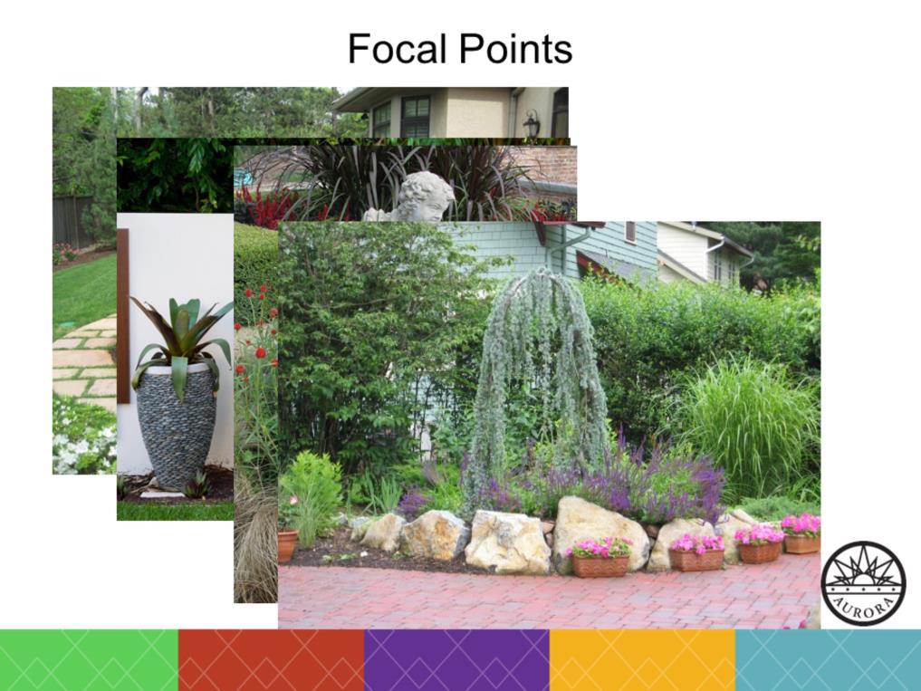A focal point can be any special feature that draws the eye.