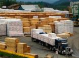 hazard in any BC sawmill Resource: Chemical