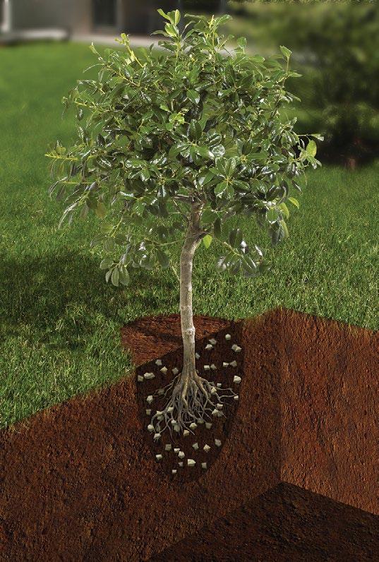 The system also works to promote better root distribution, which in turn encourages good plant growth and development.