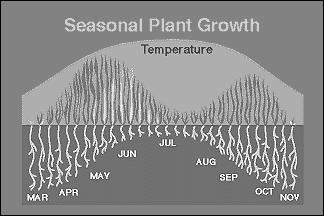 Fer=lizing Lawns Cool weather grasses have 2 periods of heavy growth each year