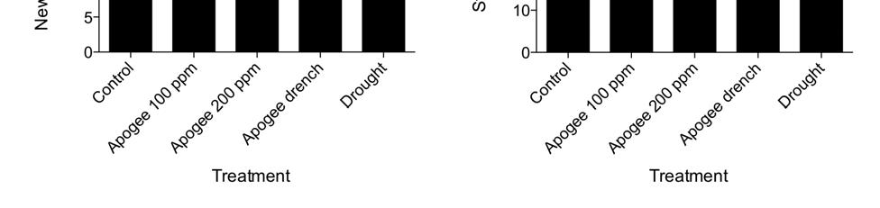 growth of Carrizo citrange (A. & B.