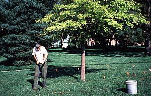 drip line (outer edge of crown) of affected trees and shrubs. Fill each hole with the iron sulfateelemental sulfur mixture to within 4 inches of the soil surface.