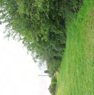On the north boundary to the east there is a large Willow and Sycamore present within the former pond. split by hedge rows not all of the site will be visible from all areas.