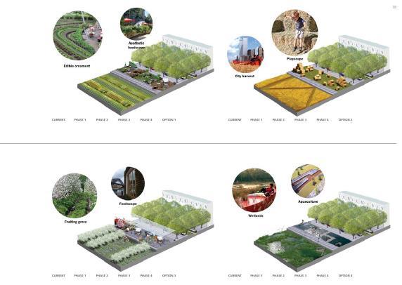 Foodscape, city harvest, playscape & fruit trees