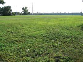 O HARE AIRPORT Examples of Vacant Lots HUMBOLT LINCOLN Opportunities Map DOUGLAS GARFIELD