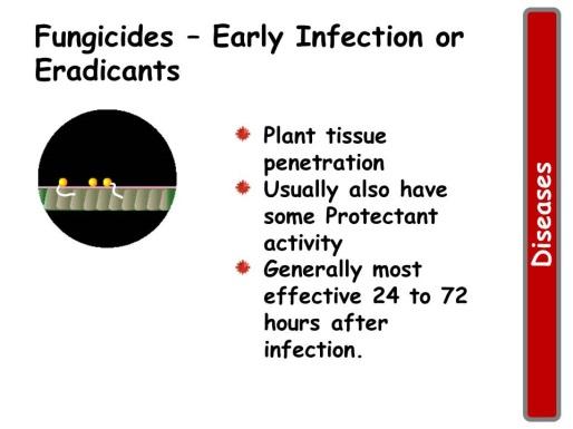 Fungicides Early Infection or Eradicants Most fungicides are protectants.