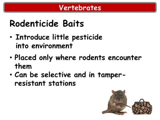 Rodenticide Baits: The use of rodenticide baits can be an effective way to control rats and mice.