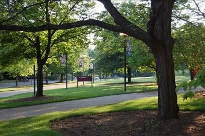 Campus Division Arborists Responsible for the care, pruning, and removal of all campus trees.