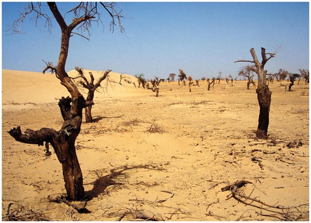 Soil Problems Desertification Def: degradation of once-fertile