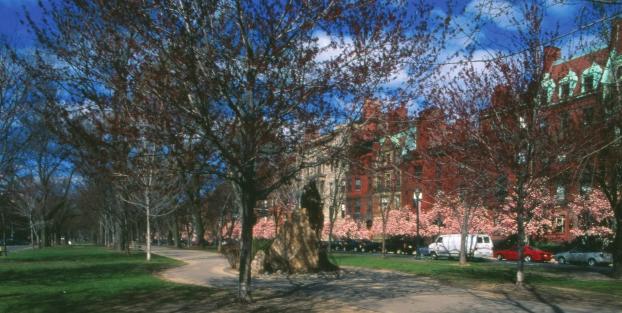 In Boston, Massachusetts, Commonwealth Avenue is a 240-foot landscaped promenade with a central island that is broad enough to be a important asset of that city s parks system.