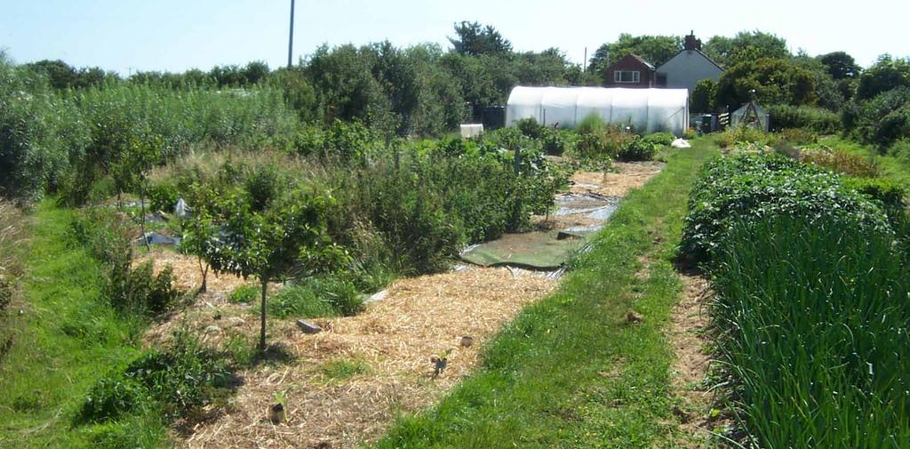 The LAND Project Harpsbridge House, Lincolnshire - one of the LAND Project s learning centres The LAND project is run by the Permaculture Association to create an accessible permaculture learning and