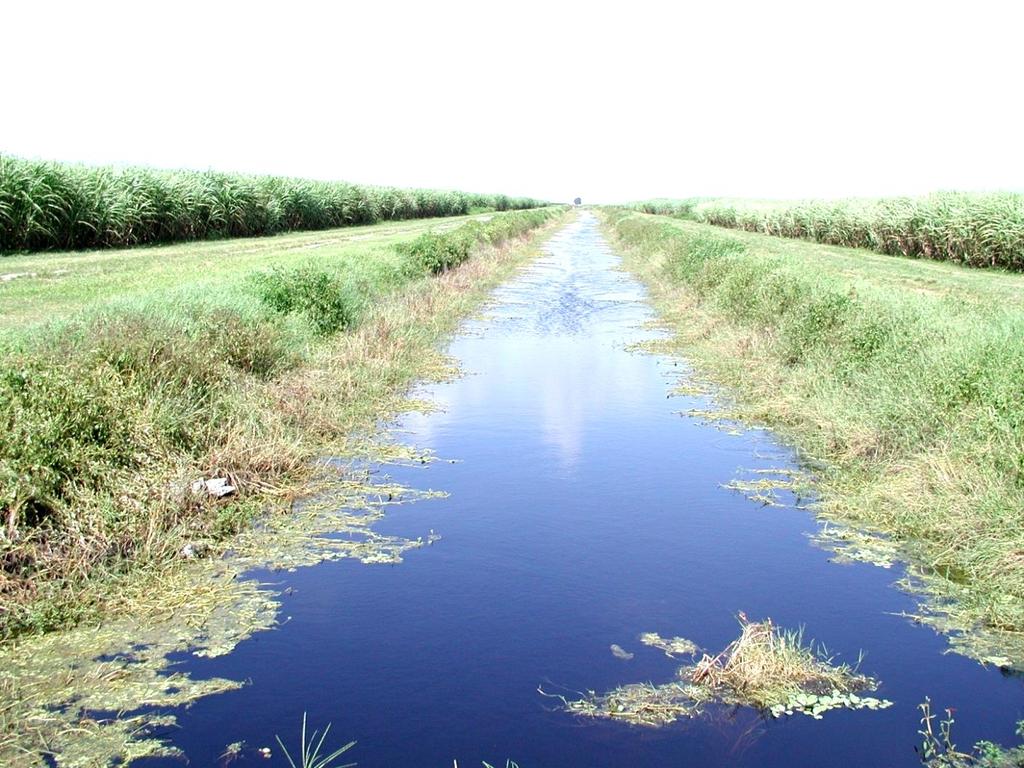 BENEFITS -Minimizes sediment erosion of the canal banks MAINTENANCE